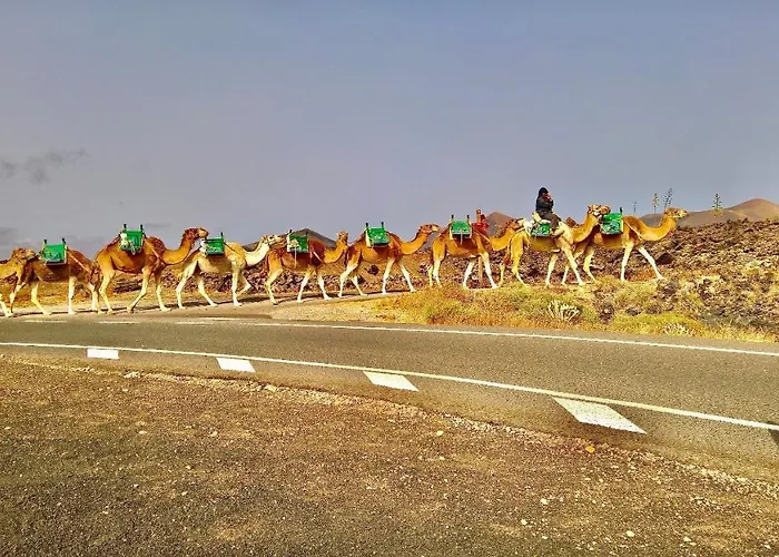 Tia Ela * Yaiza (Lanzarote)