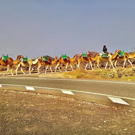 Tía Ela * Yaiza (Lanzarote)